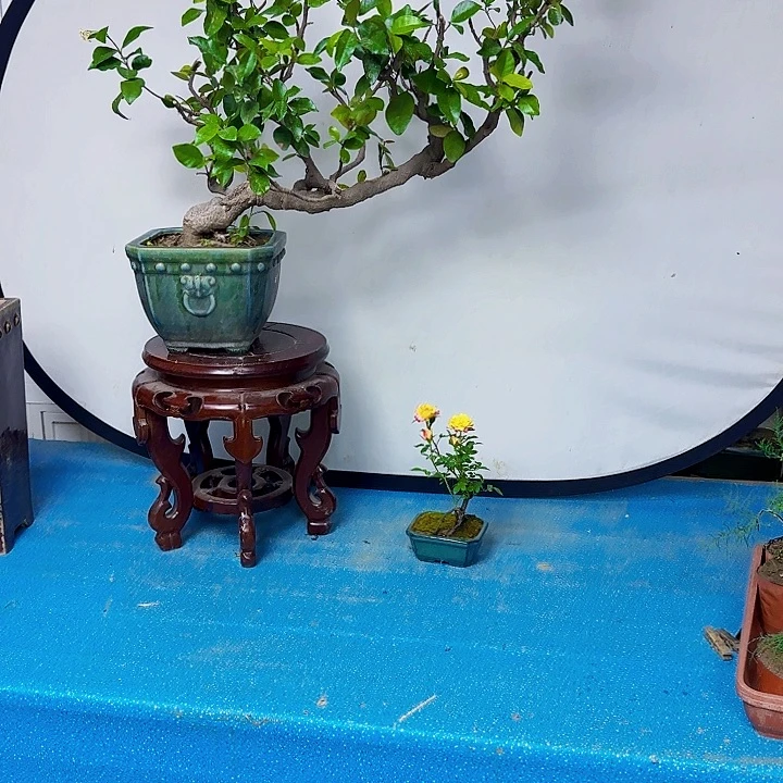 小*满er f g h k k