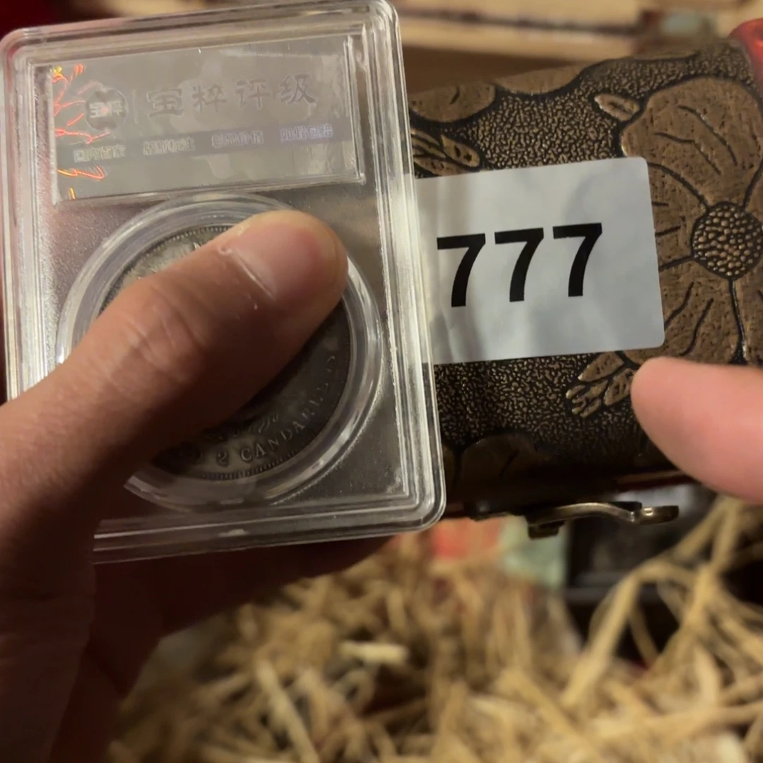 玉356546466566455555