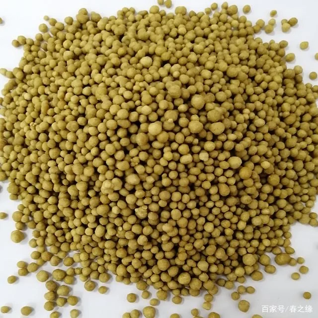 【跑山嬢嬢专属】贵州【苦荞饭】健康粗粮香软可口