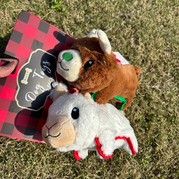 外贸清仓狗狗玩具互动陪伴大气囊仿真玩偶磨牙洁齿金毛柯基边牧