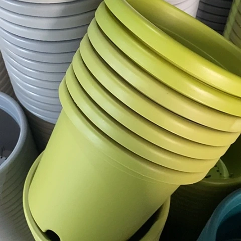 树脂特价4号8个带托果绿