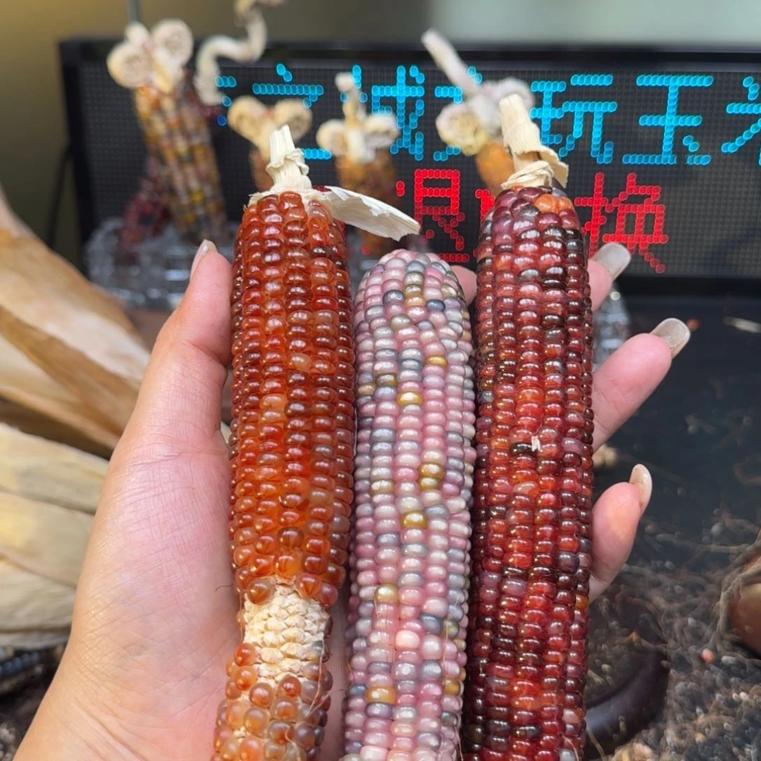 柏香籽/百香籽吊坠?****?