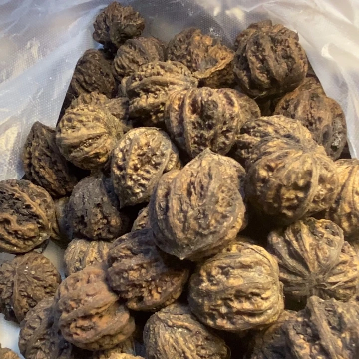 无***环桃核吊坠东北特产49