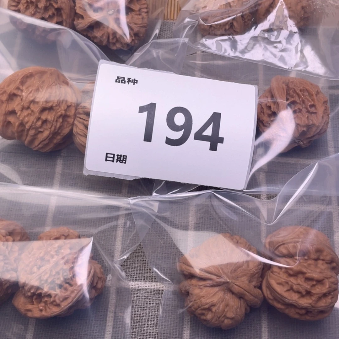 把件文玩核桃194号6对带练手元宝
