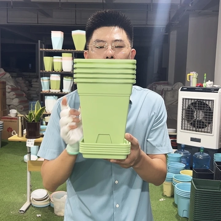 正品方盆口16高18果绿5只带托