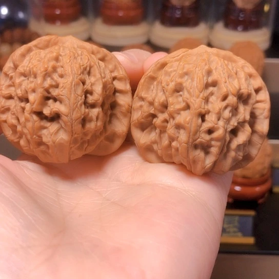 野生小众：马老四全品