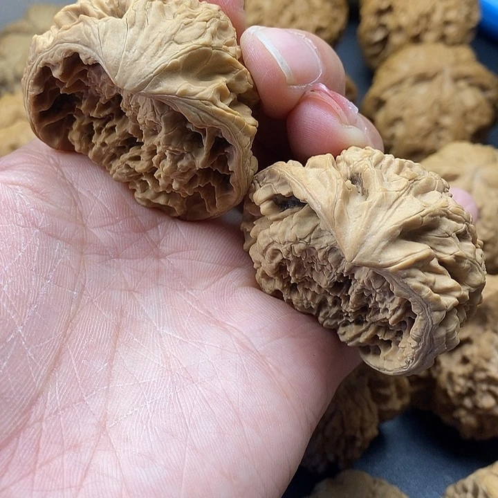 龙脊菩提吊坠聚宝盆47