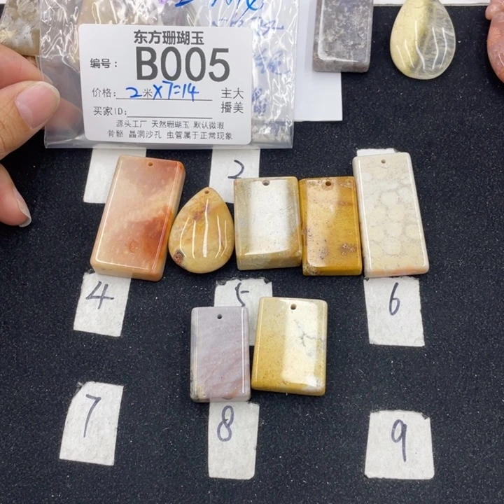 硅化珊瑚（珊瑚玉）颈饰合金吃**龙