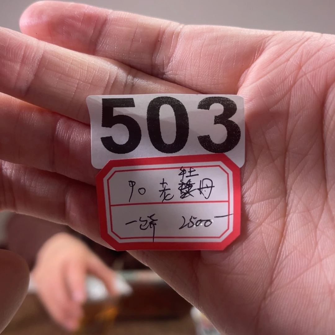 503……………………………………