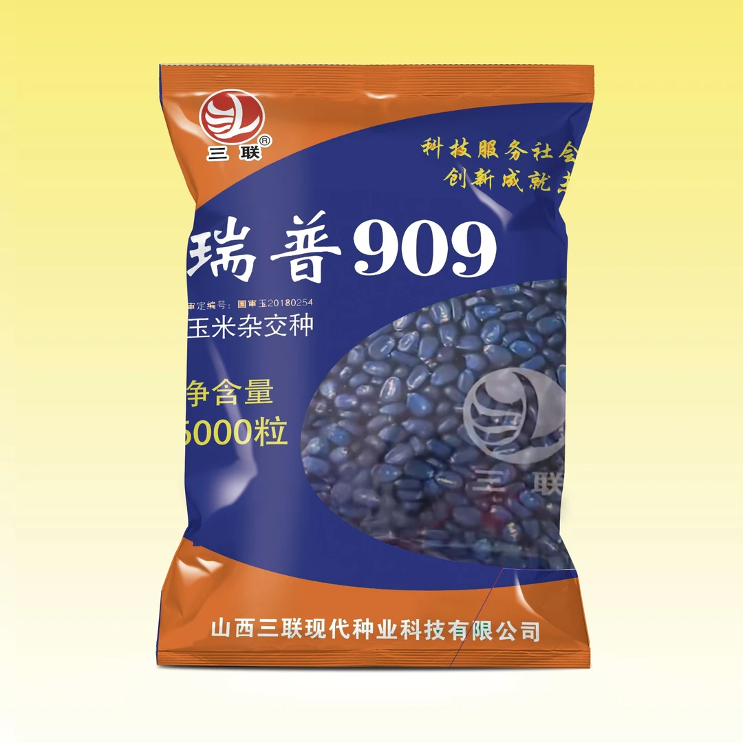 X4.7斤/袋山西三联正品瑞普909玉米种子