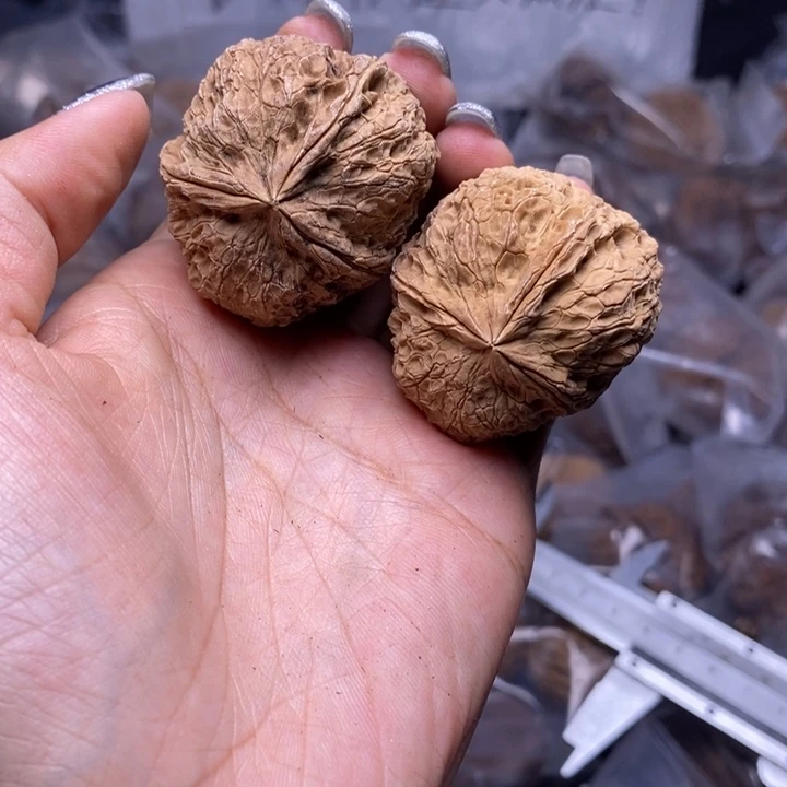 核桃云南野生铁核桃90号41mm