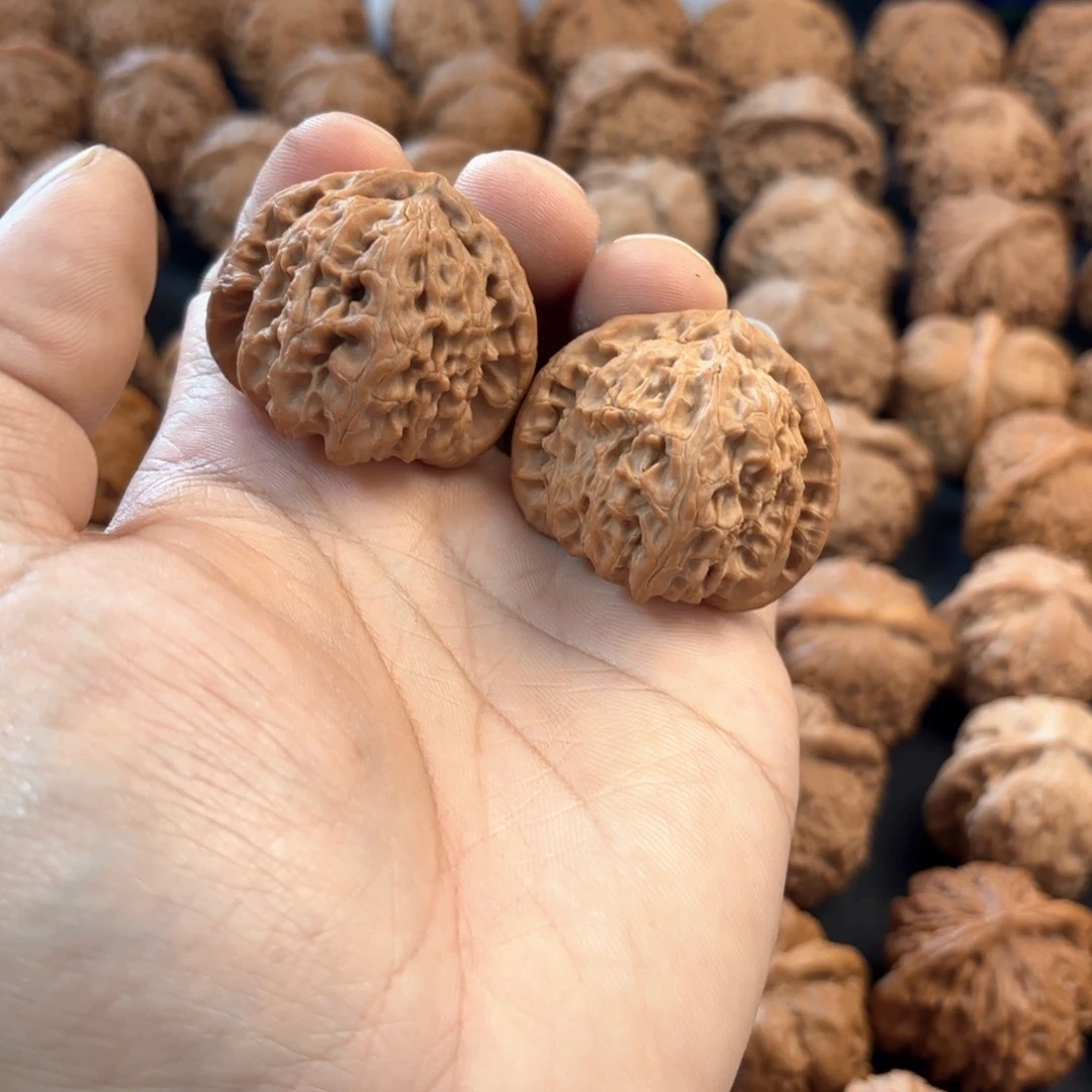 文玩核桃把件白狮子