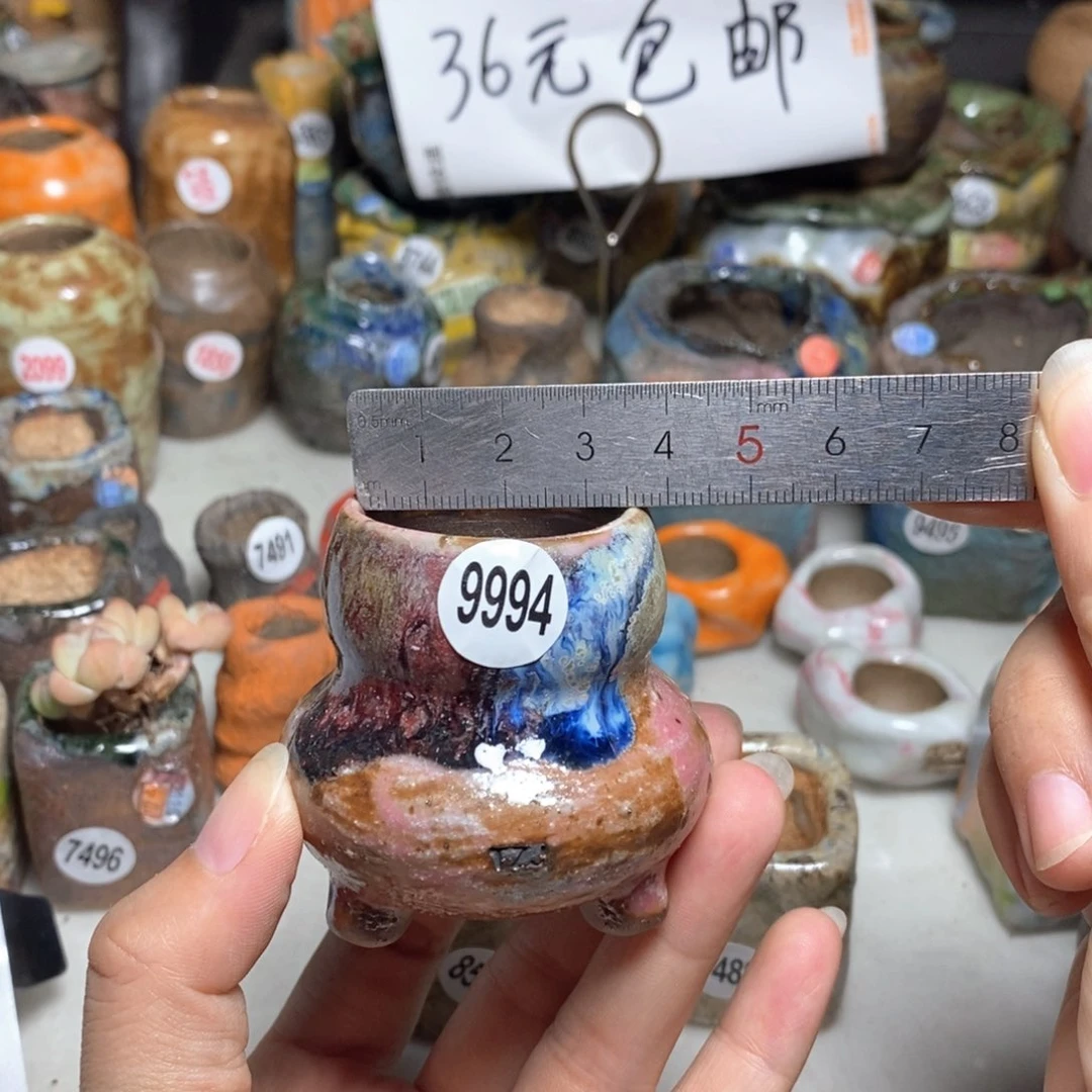 拍5送一个小礼物