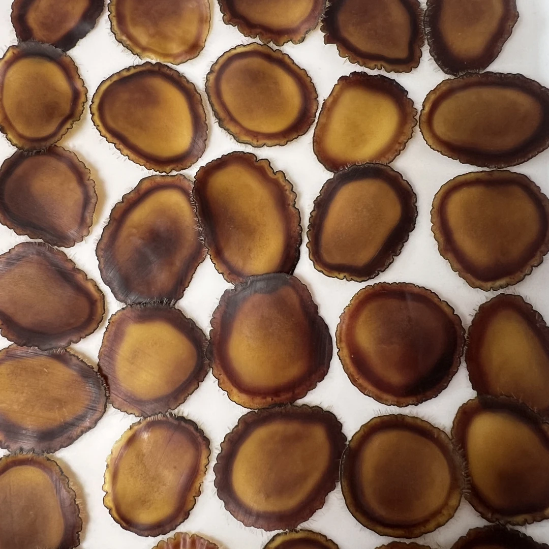 东北鹿茸种鹿级别全腊片，含红量足腊质足可含服泡水煲汤泡酒