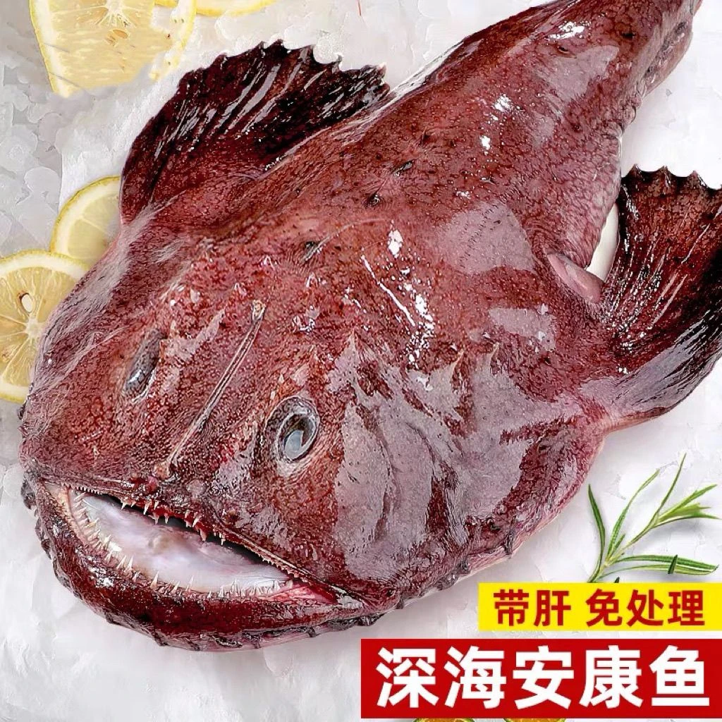 汕尾安康鱼西头乖整条去肚带肝灯笼鱼蛤蟆鱼