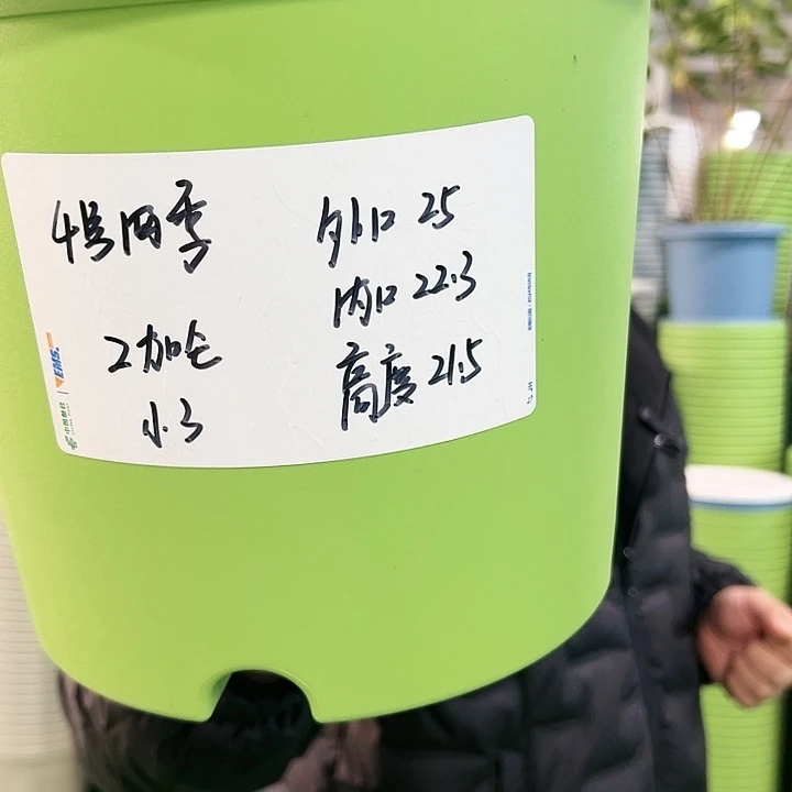 特价4号四季口25高21果绿色8个无托