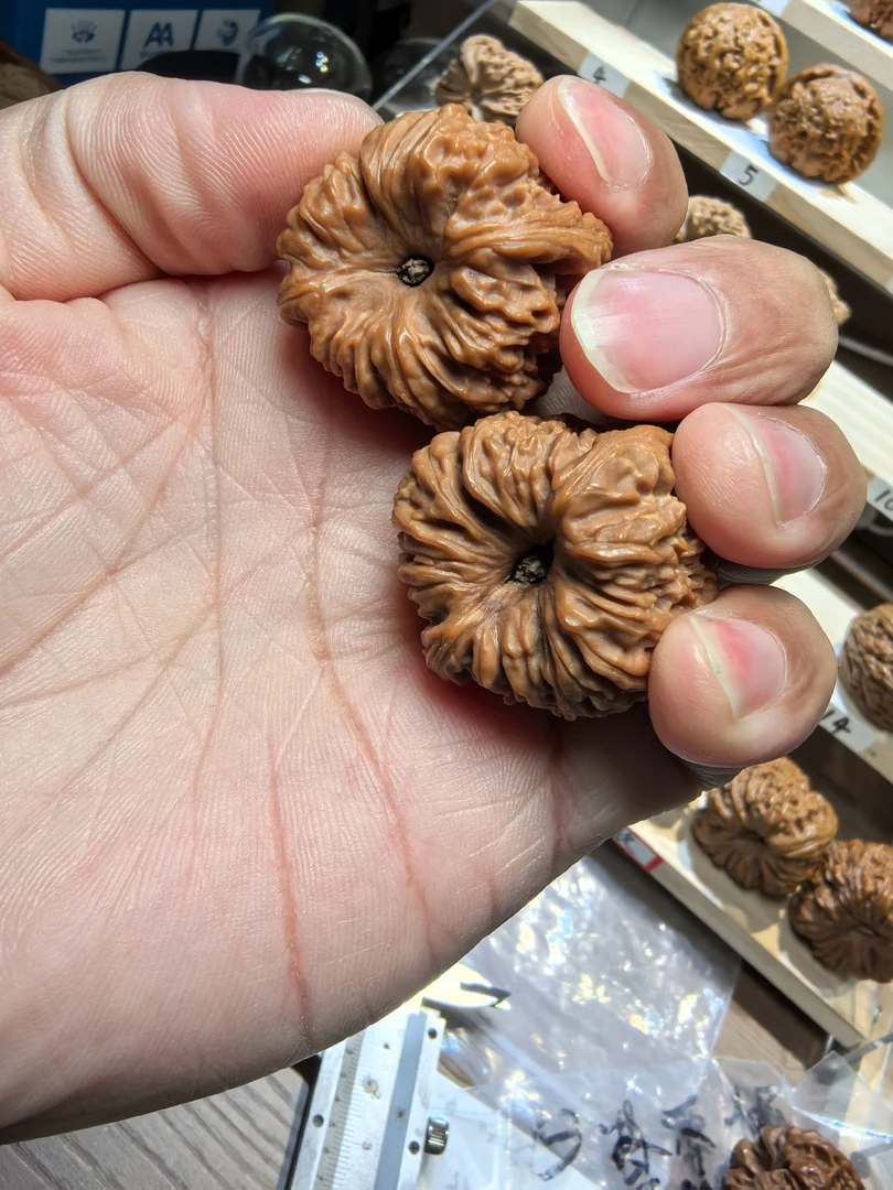 鲸品南疆石核桃凹底酒杯底有黄丝