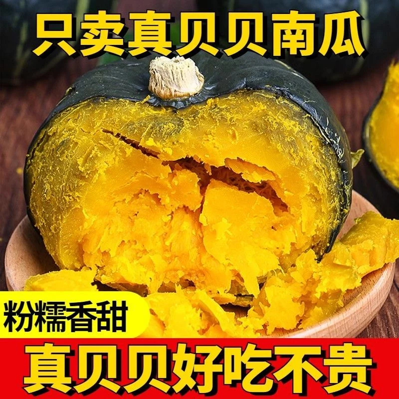 正宗沙地贝贝南瓜粉糯香甜板栗味宝宝辅食粗粮代餐