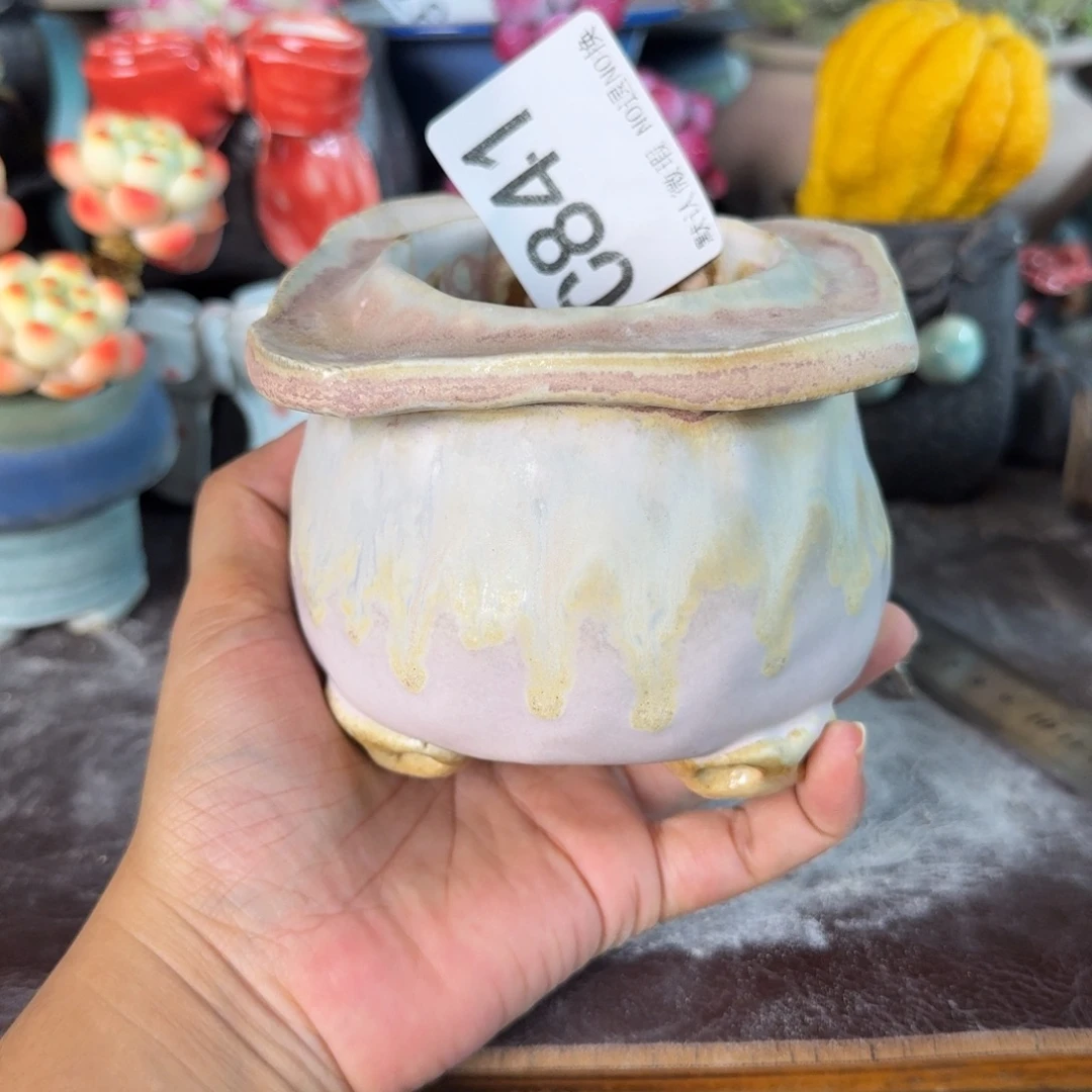 重庆小燕子欢迎大家。841