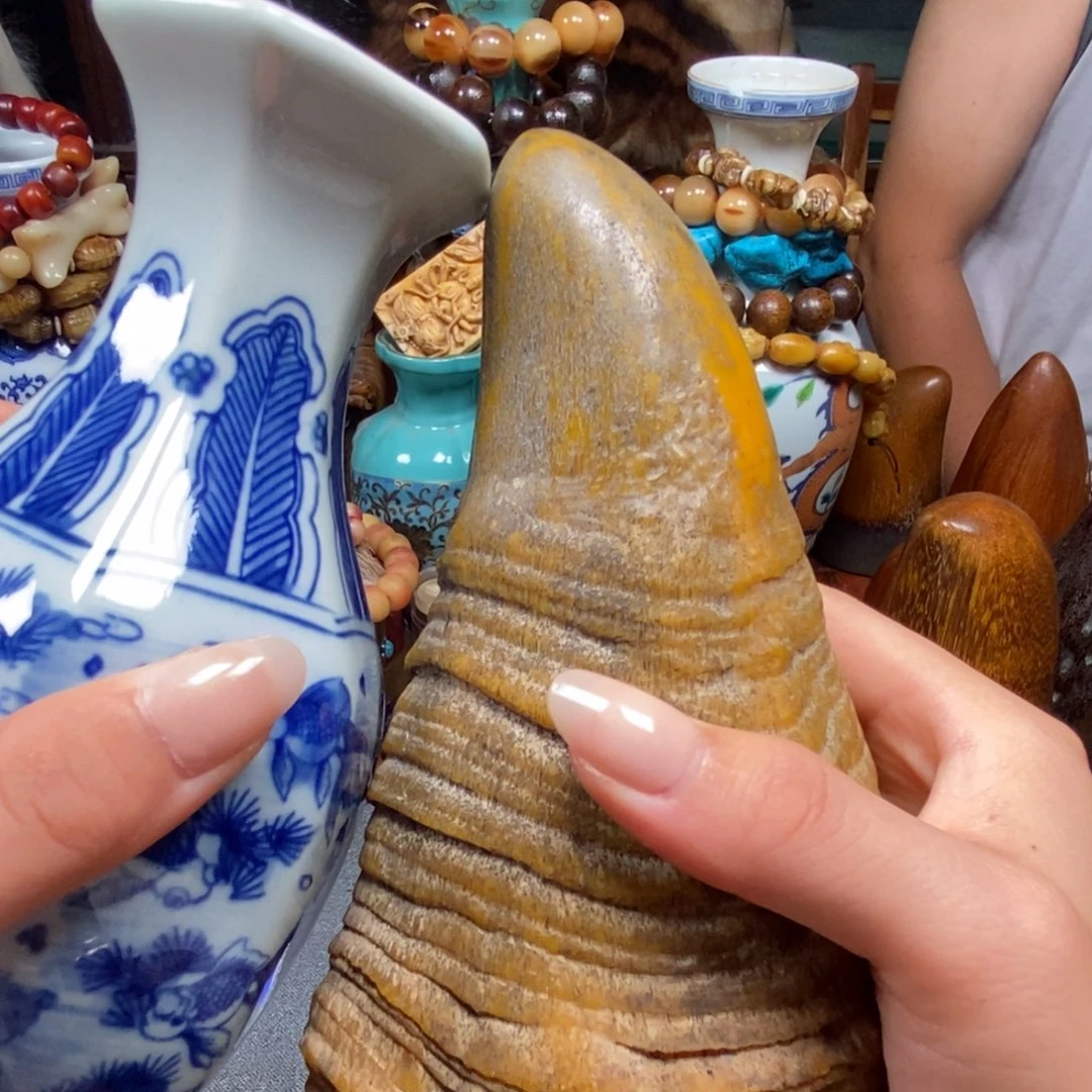 主播节目主持人和主持人等工作