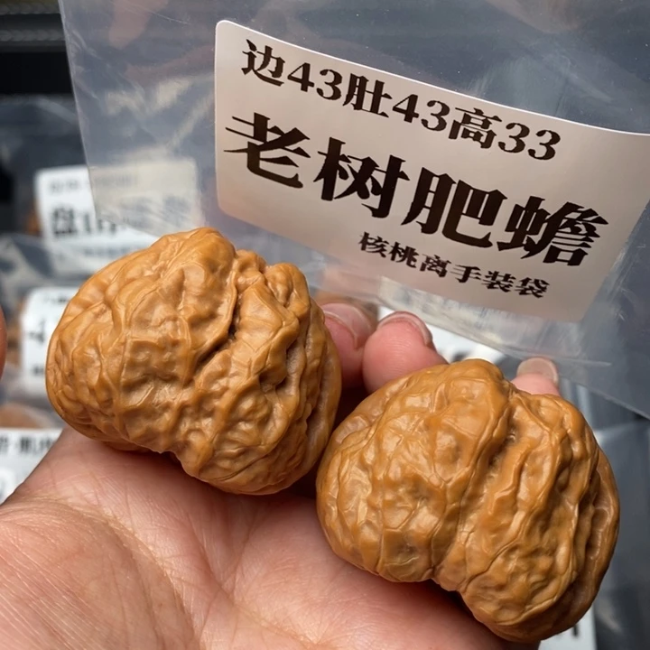 文玩核桃把件43老树肥蟾