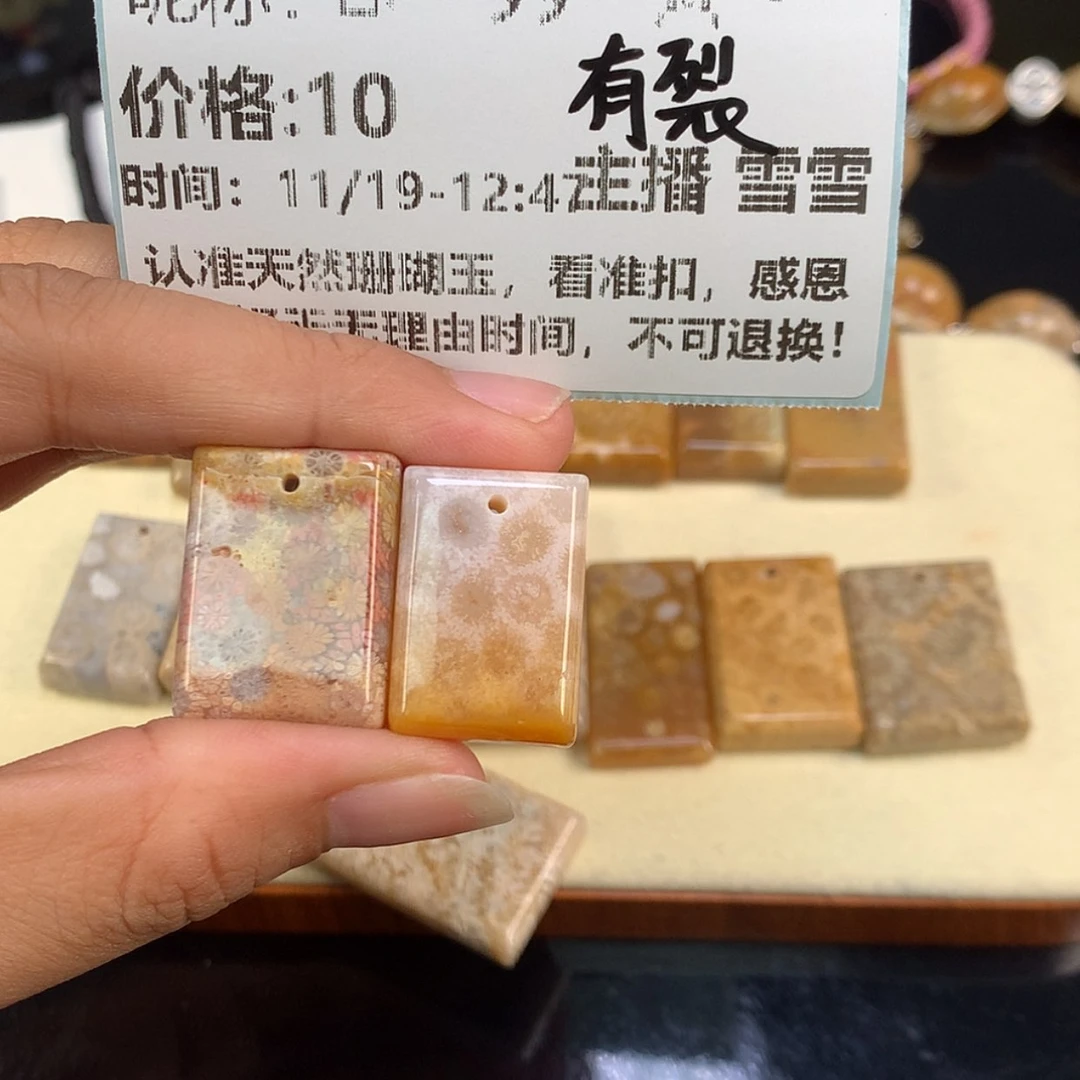 【闪购商品】颈饰未镶嵌硅化珊瑚（珊瑚玉）ℳ****