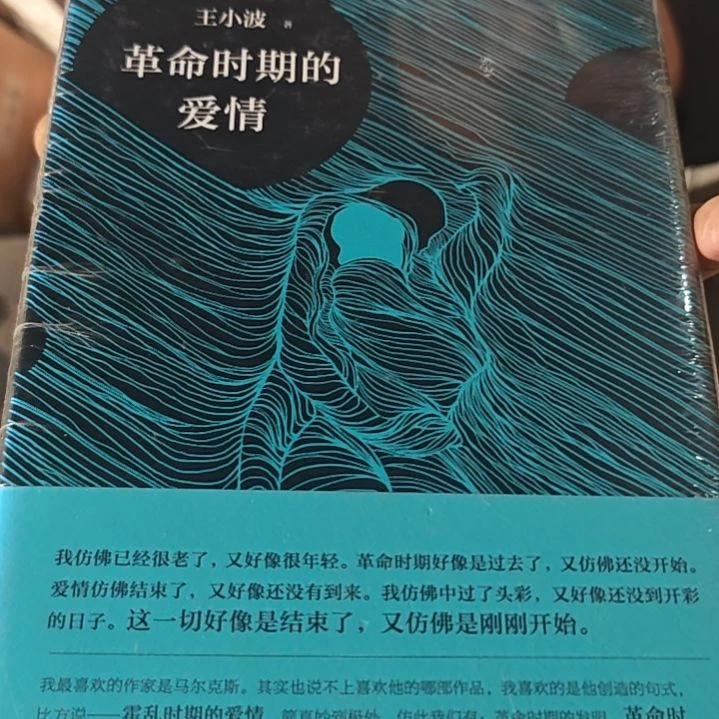 王小波革命时期的爱情微瑕介意勿拍