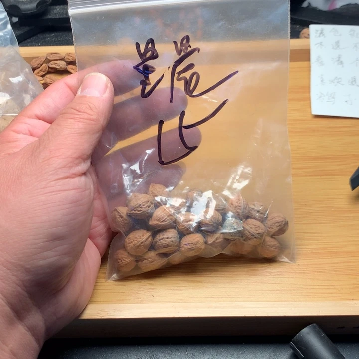 星***辰文玩核桃吊坠野生精品小核桃散籽