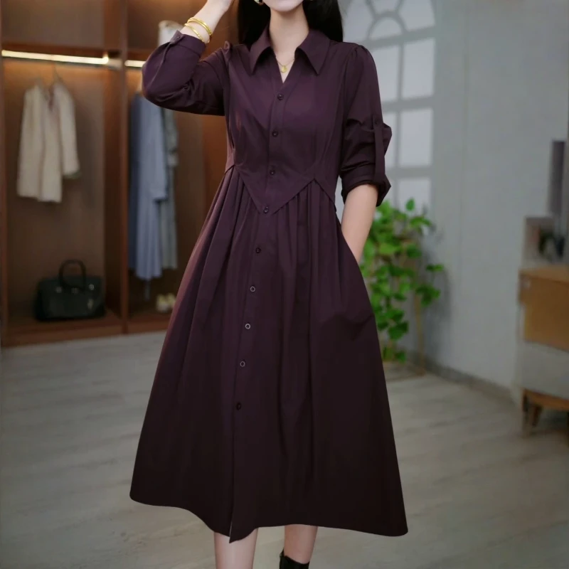 精致气质温柔长袖连衣裙2025早秋新款洋气宽松休闲显瘦收腰中长裙