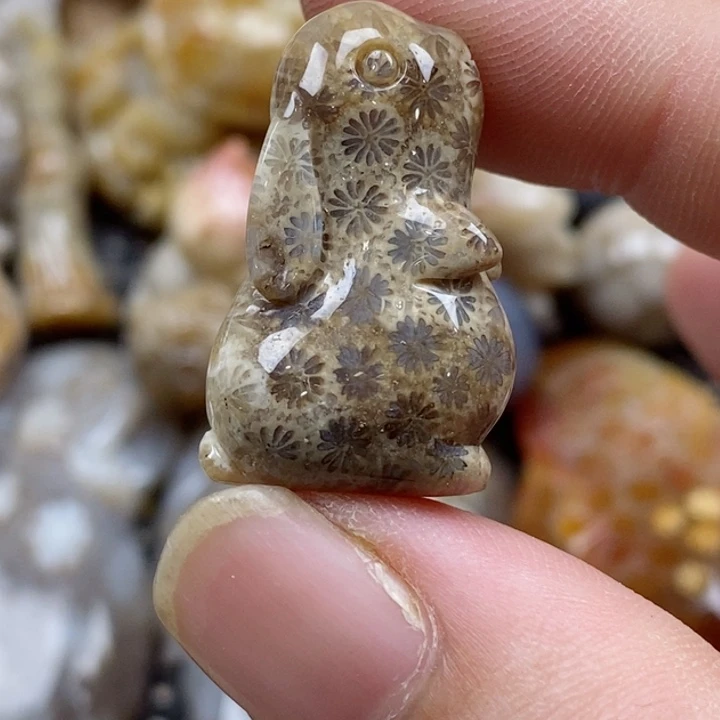 颈饰未镶嵌硅化珊瑚（珊瑚玉）