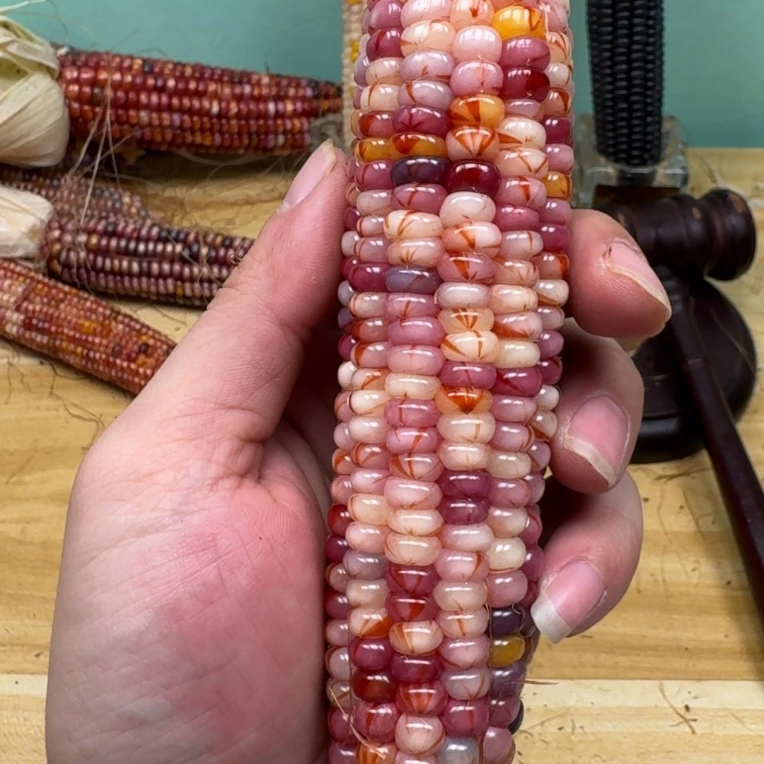 ****️柏香籽/百香籽吊坠