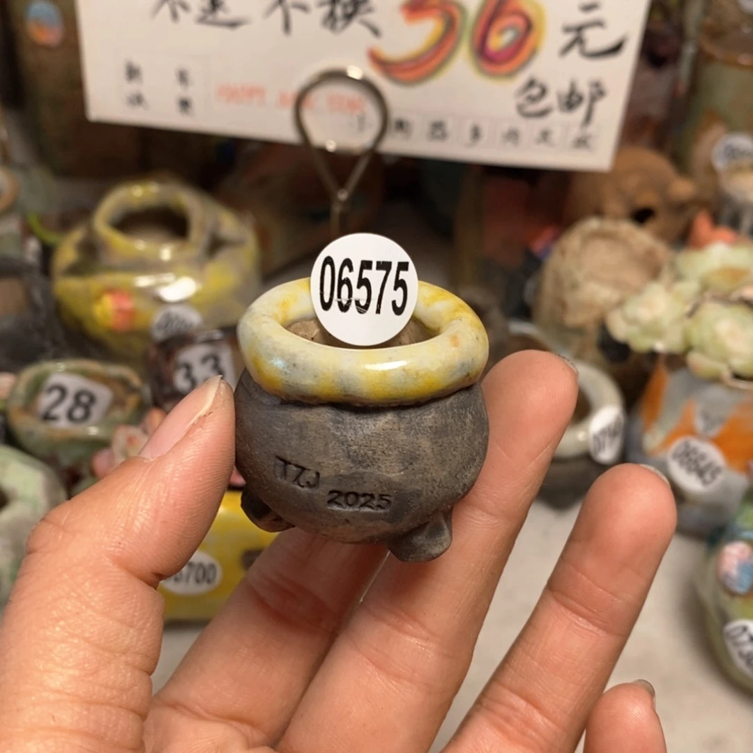 丸****～花盆拍5送一个小礼物