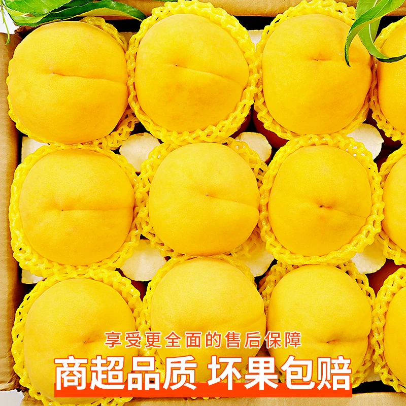 【甄选溯源】山东锦绣黄桃子脆桃软桃特大毛桃夏季现摘新鲜水果桃子