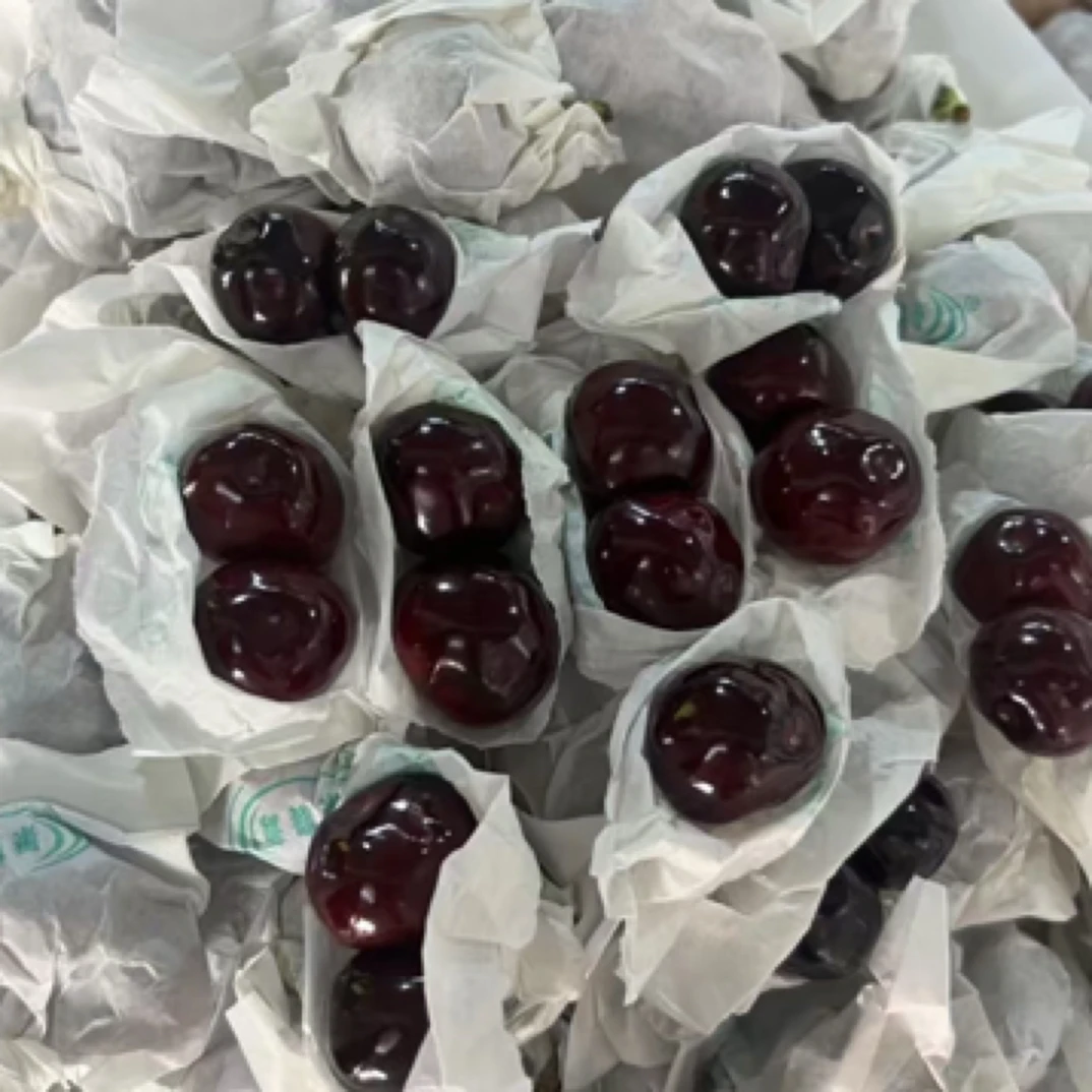套袋果R汉源樱桃车厘子5斤（有坏果，有焉果，不包售后）樱桃