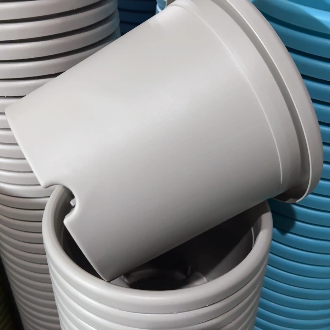 树脂特价4#无拖灰白8个