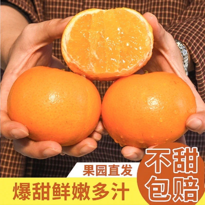 【超甜多汁】精选沃柑 桔子柑橘 新鲜当季水果橘子特惠3斤