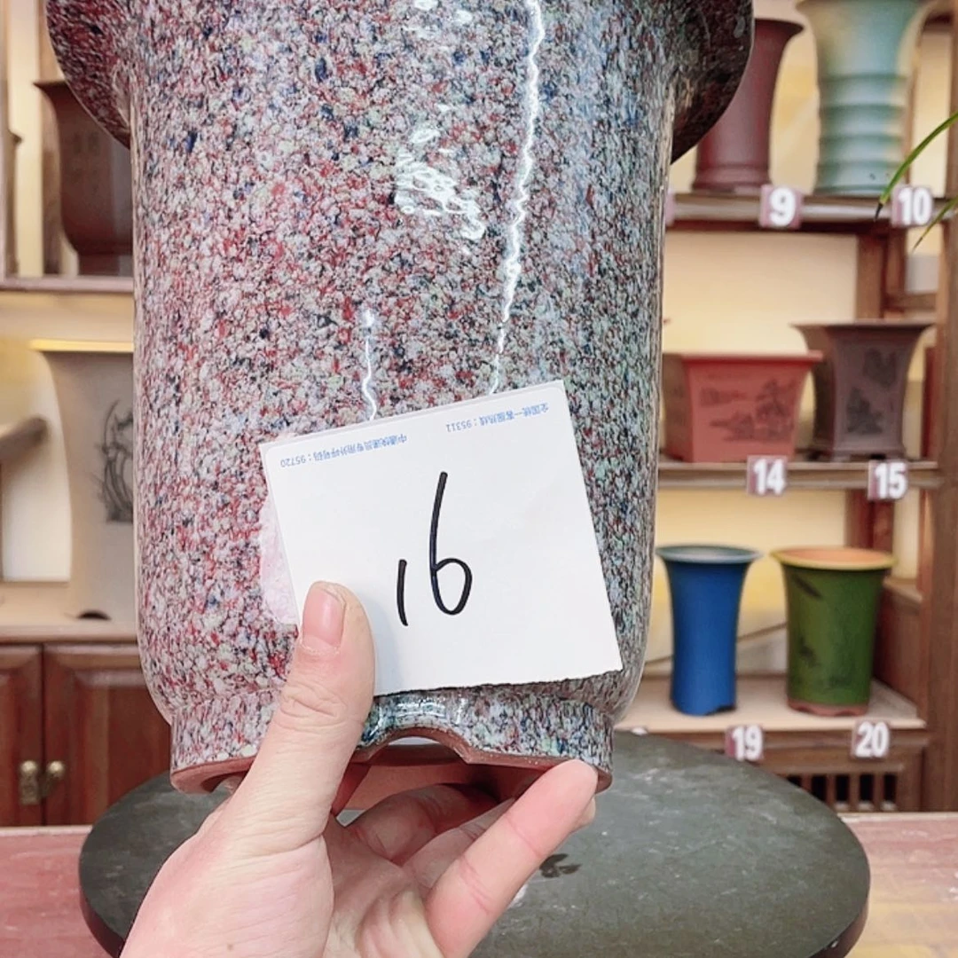 【闪购商品】紫砂花盆楚**香兰花425585545558588888