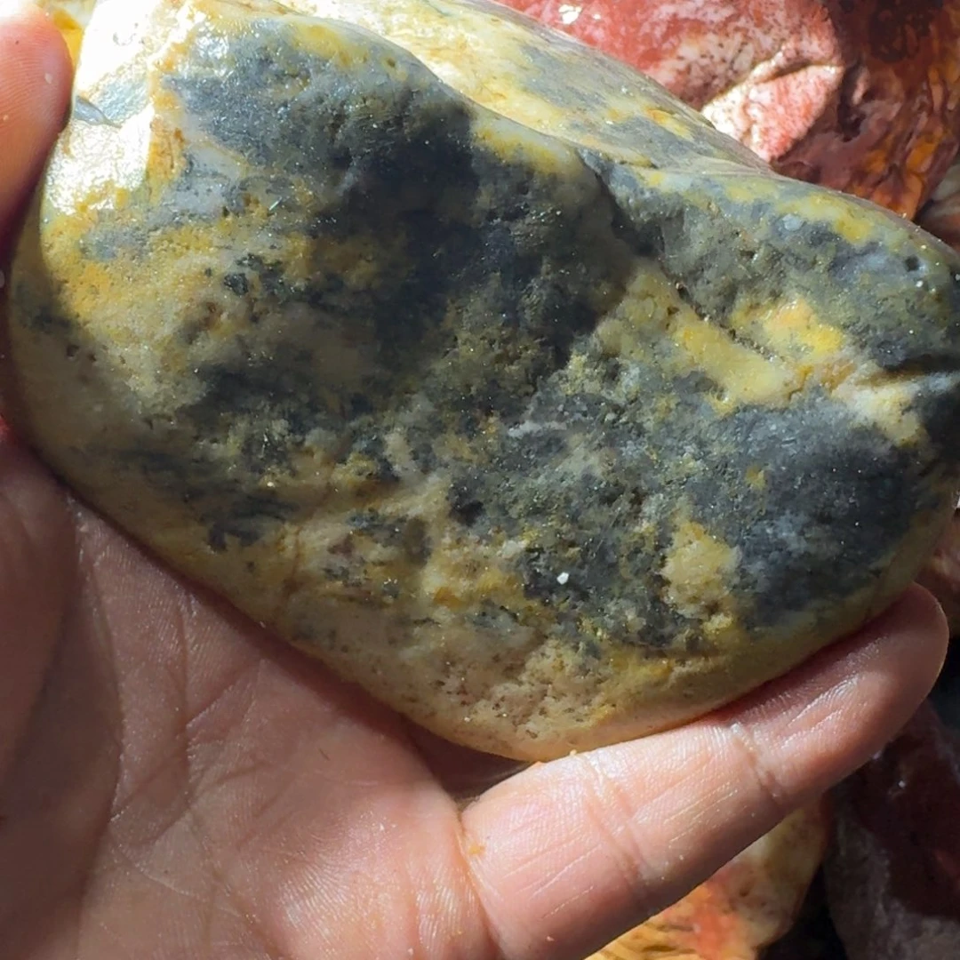 麦***田寿山石899888988899998