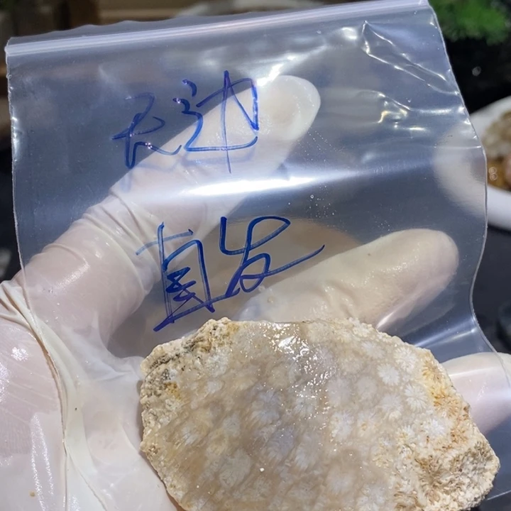 【闪购商品】未镶嵌珊瑚玉硅化玉＆****云