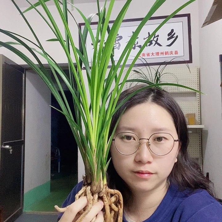 完全开放大大大大大大大大的