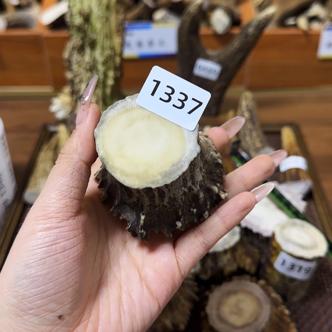 手串/手链鹿骨1337角帽