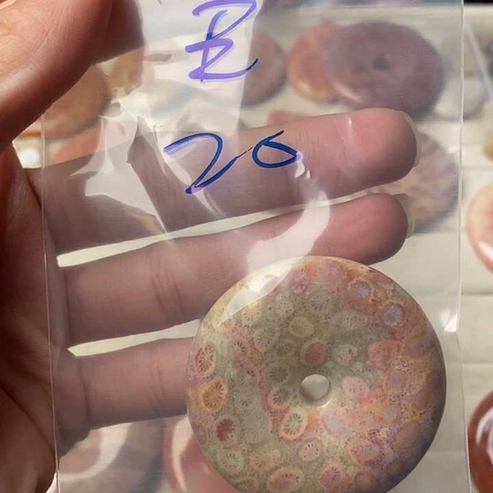 硅化玉颈饰未镶嵌王