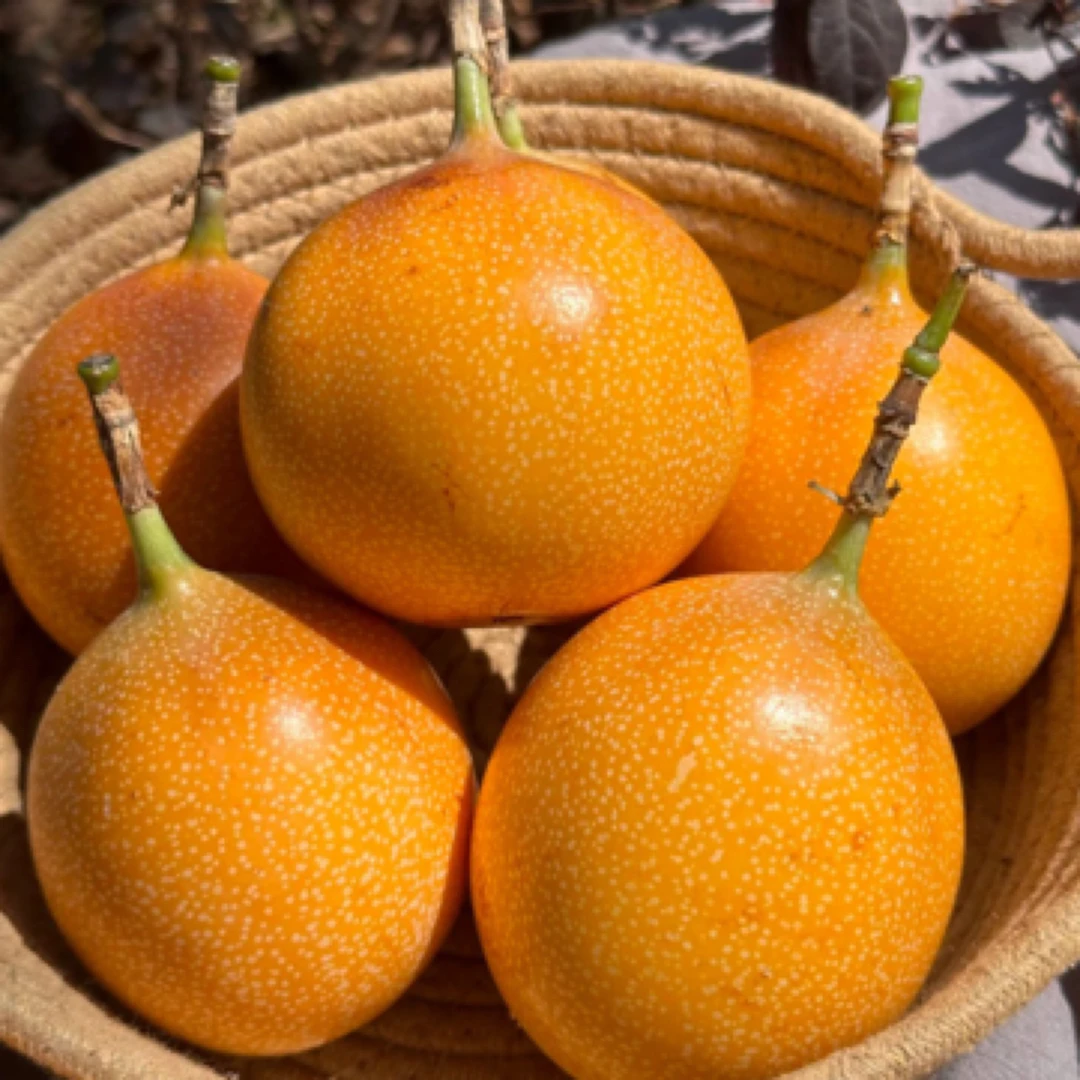 热情果VC之王两斤