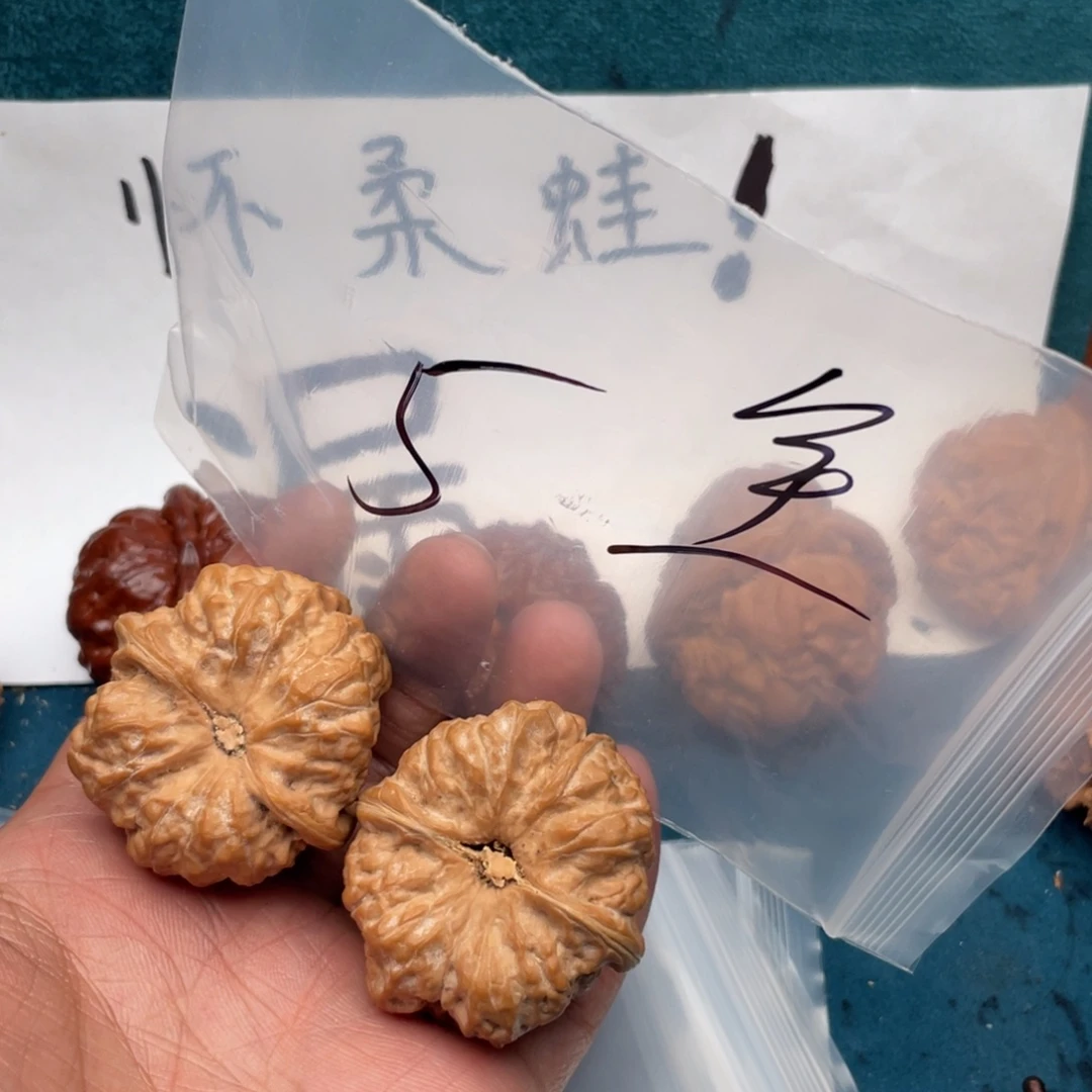 核桃753375375537537753573