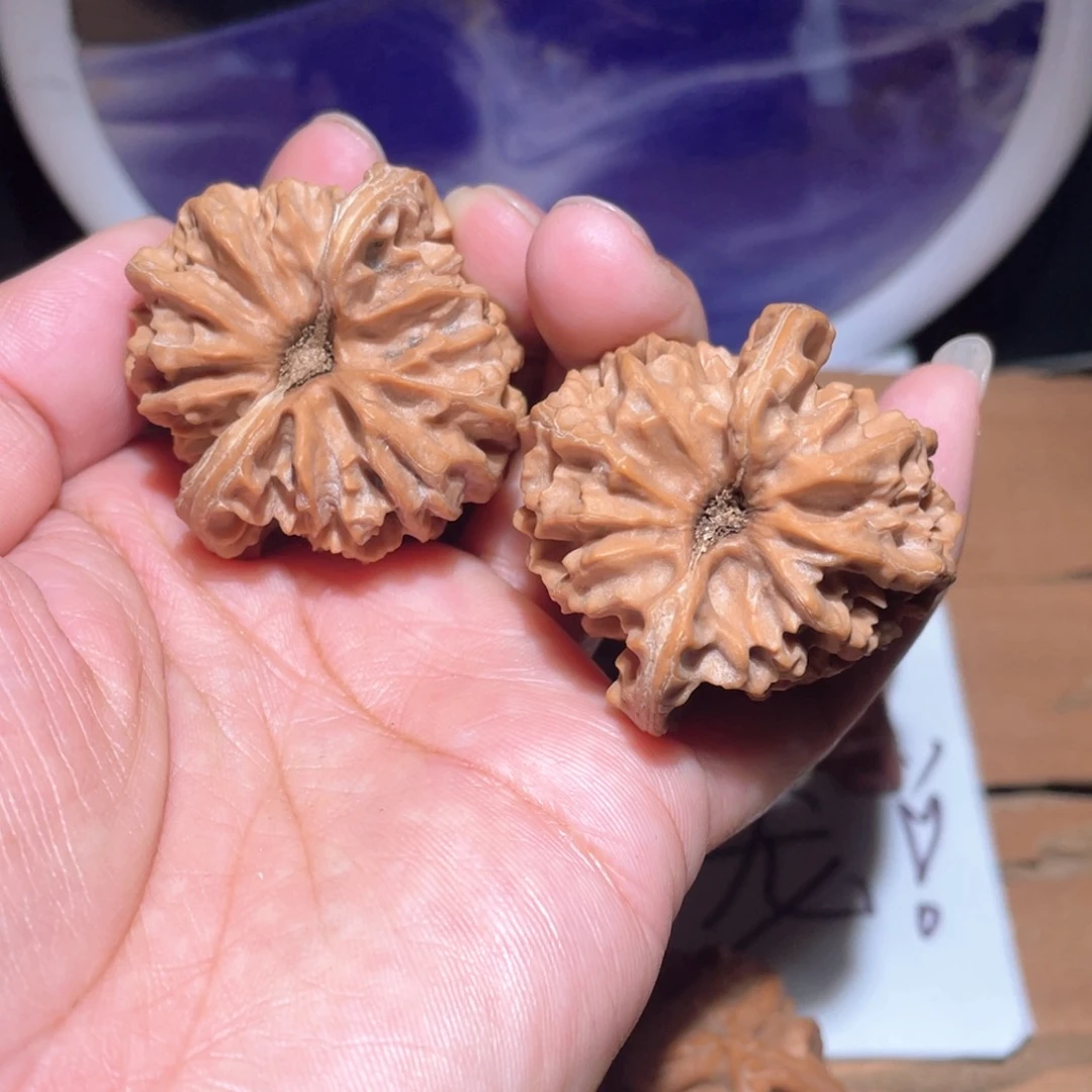 把件核桃游*鱼S167。 40尺。 大龙