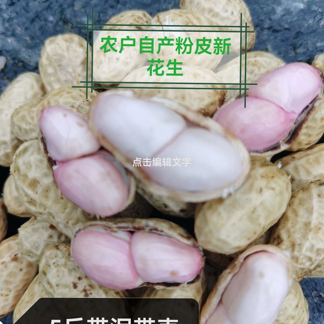 新鲜5斤现挖带壳带泥粉皮花生可水煮生吃农家自种