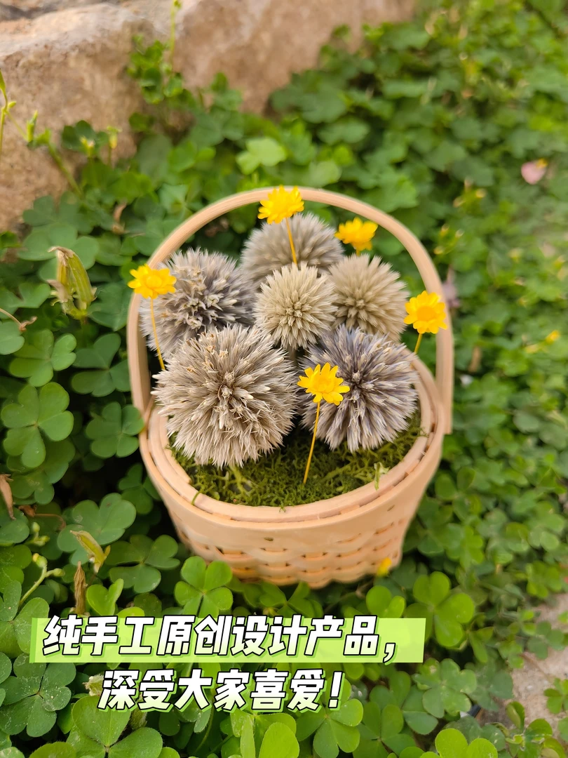 圣诞礼物干花仙人球桌面摆放小物件永生花创意礼品可爱小花篮迷你