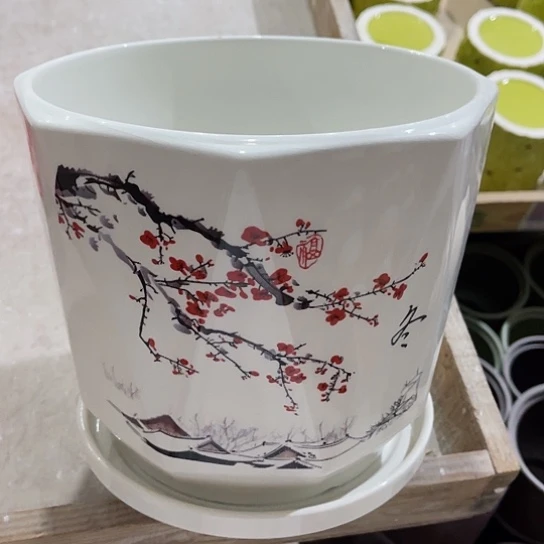 多肉绿植陶瓷花盆9.9包邮，有孔