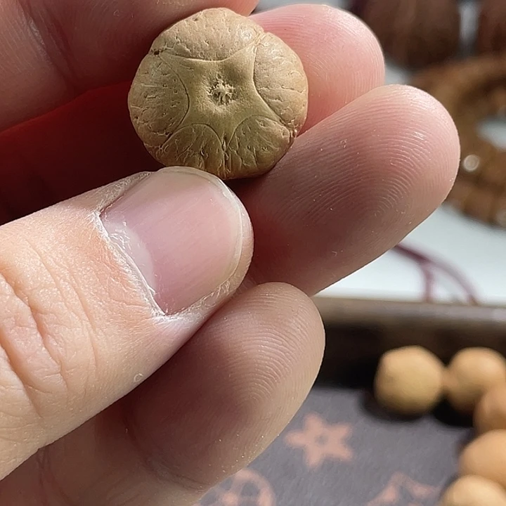 凤眼菩提手串尼泊尔小fy