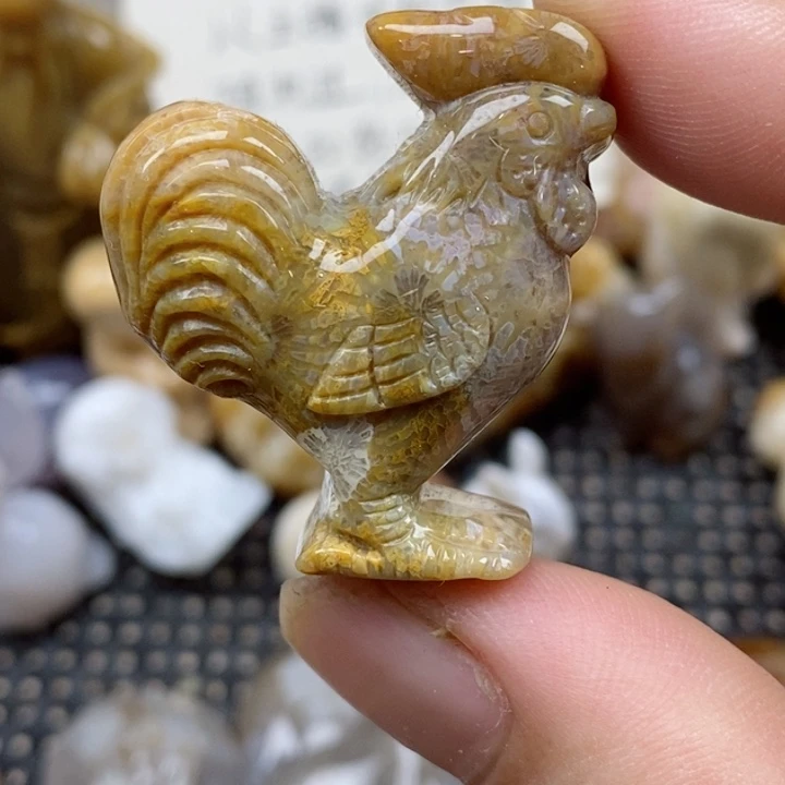 颈饰未镶嵌硅化珊瑚（珊瑚玉）小